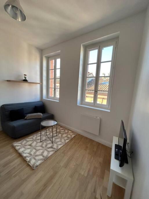 Le Studio Cygne Blanc Hypercentre Rue Riquet 툴루즈 외부 사진